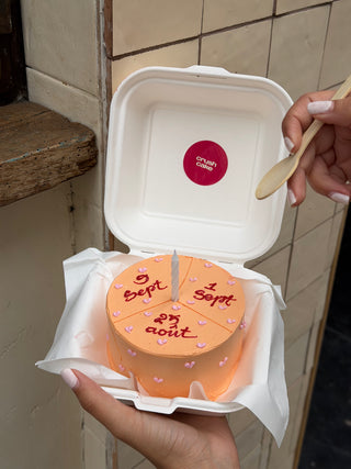 Minimalist Bento Cake