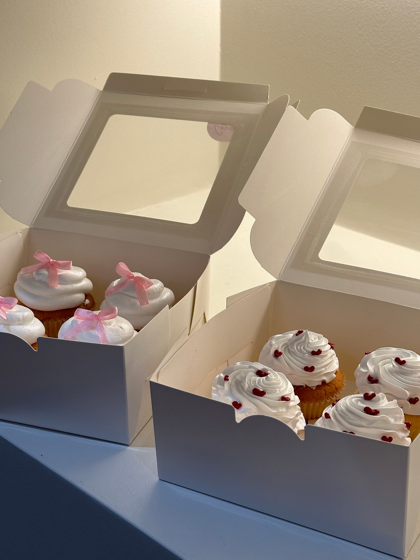 Cupcake Boxes