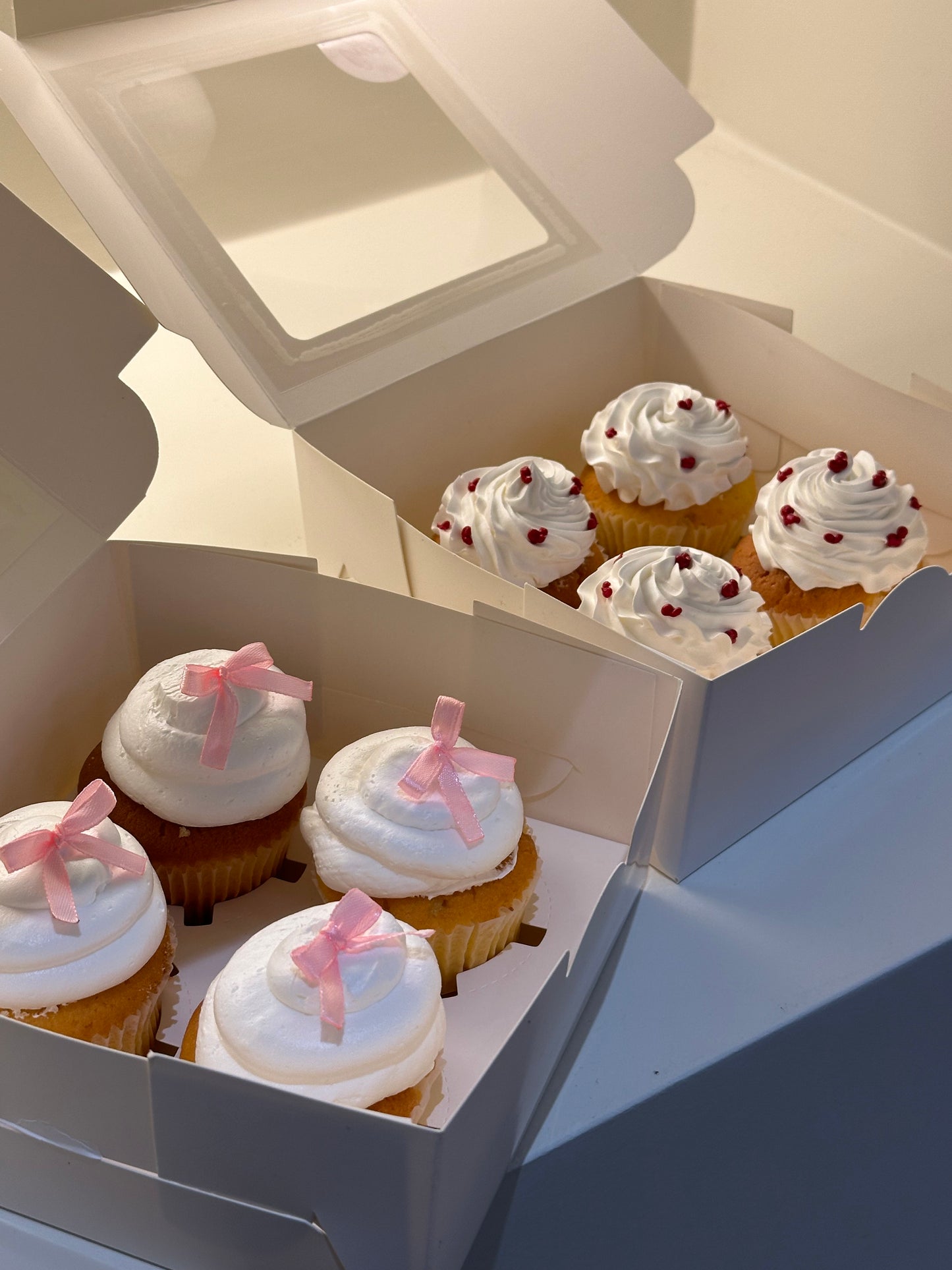 Cupcake Boxes